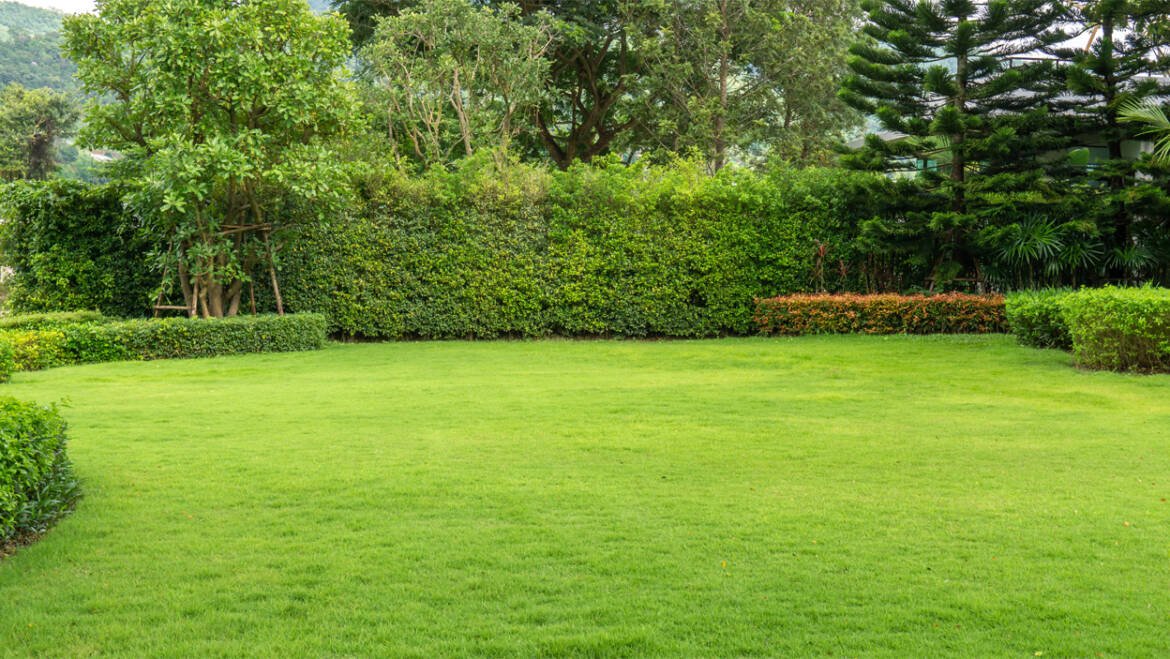 Dog poo waste removal Essex