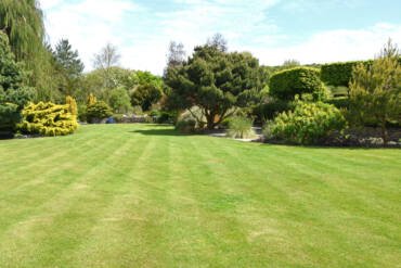 Lawn Mowing