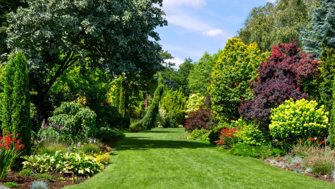 Modern Landscape Design & Techniques