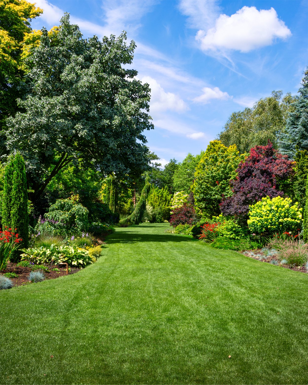landscaping_essex