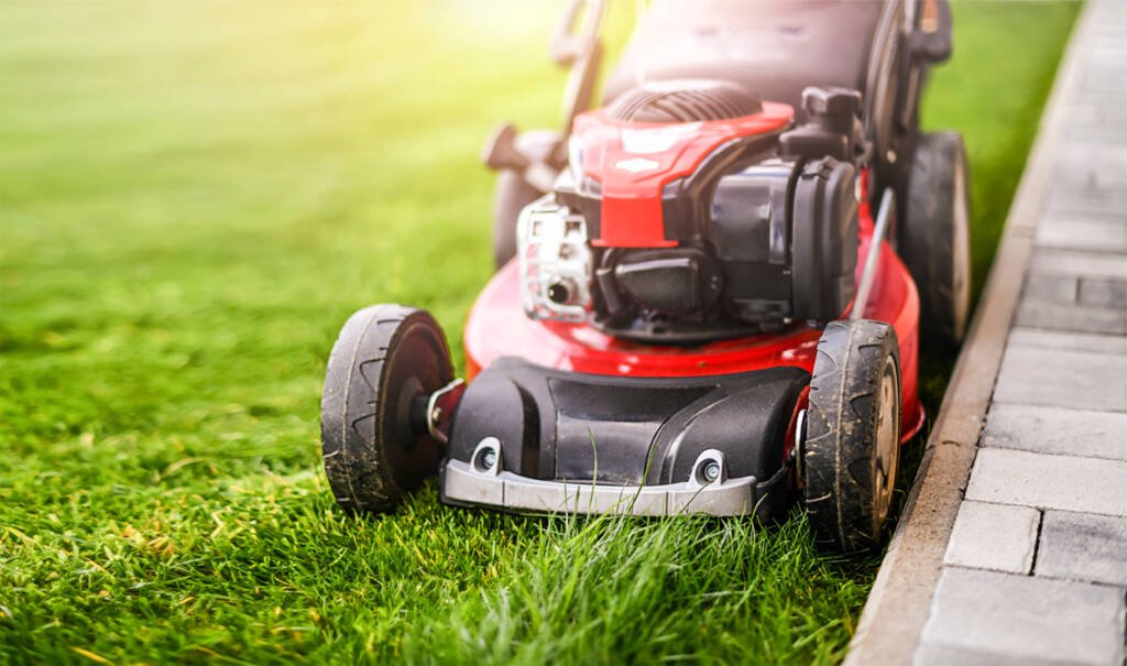 gardening services Essex lawn mowing