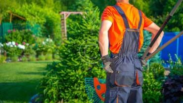 Patio Cleaning