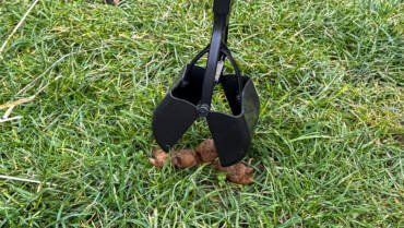 Dog Waste Collection and Removal Service