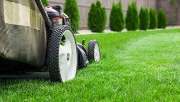 Residential gardening services in Essex