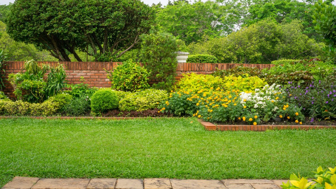 Tree and hedge trimming Essex