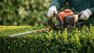 Hedge Trimming and Removal Services
